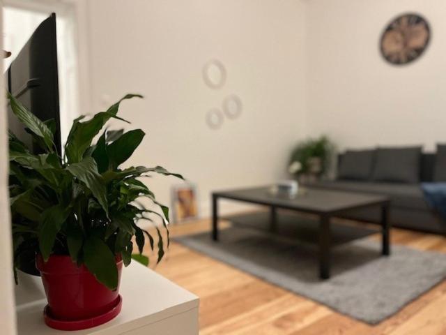 Cosy Rent-Strasbourg Gare 1-Wifi Leilighet Eksteriør bilde