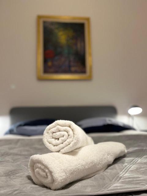 Cosy Rent-Strasbourg Gare 1-Wifi Leilighet Eksteriør bilde