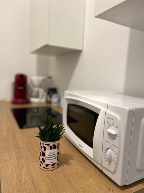 Cosy Rent-Strasbourg Gare 1-Wifi Leilighet Eksteriør bilde