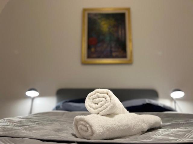 Cosy Rent-Strasbourg Gare 1-Wifi Leilighet Eksteriør bilde