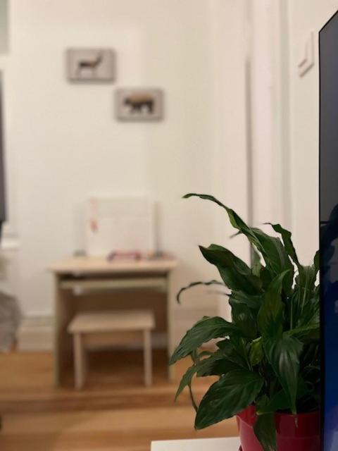 Cosy Rent-Strasbourg Gare 1-Wifi Leilighet Eksteriør bilde